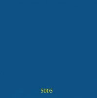 5005