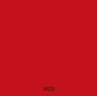 3020