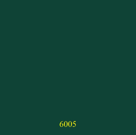6005