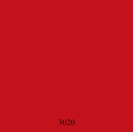 3020