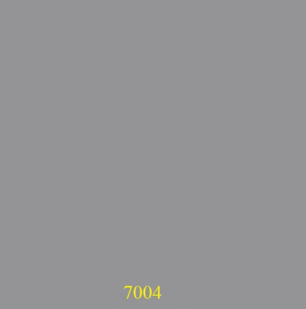 7004